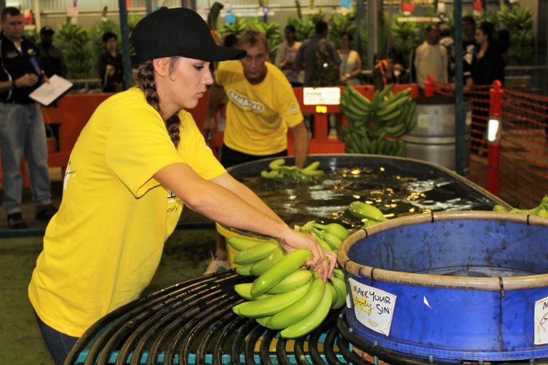 Banana Packing Competition Australian Banana Growers