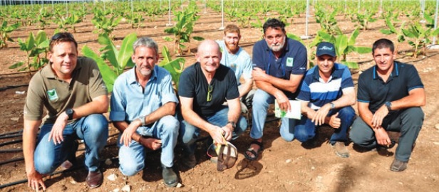 On tour: Lindsay Rural’s Shane O’Flanagan (far left) with Tully’s Stephen Lowe, Bananot Hahof’s Hanan Ben Shalom and Uri Shpatz, Haifa Australia’s Peter Anderson, Lakelands grower Martin Garate and Shayne Cini of Innisfail.