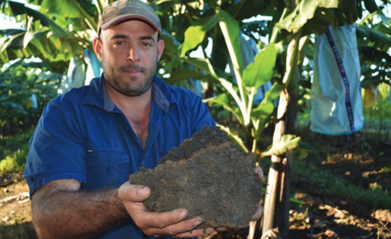 Michael Russo is focussing on soil health to unlock benefits for banana production.