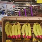 The Sciacca’s distinctive red-tipped bananas
ready for consumers in Hong Kong.