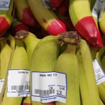 The Sciacca’s distinctive red-tipped bananas
ready for consumers in Hong Kong.