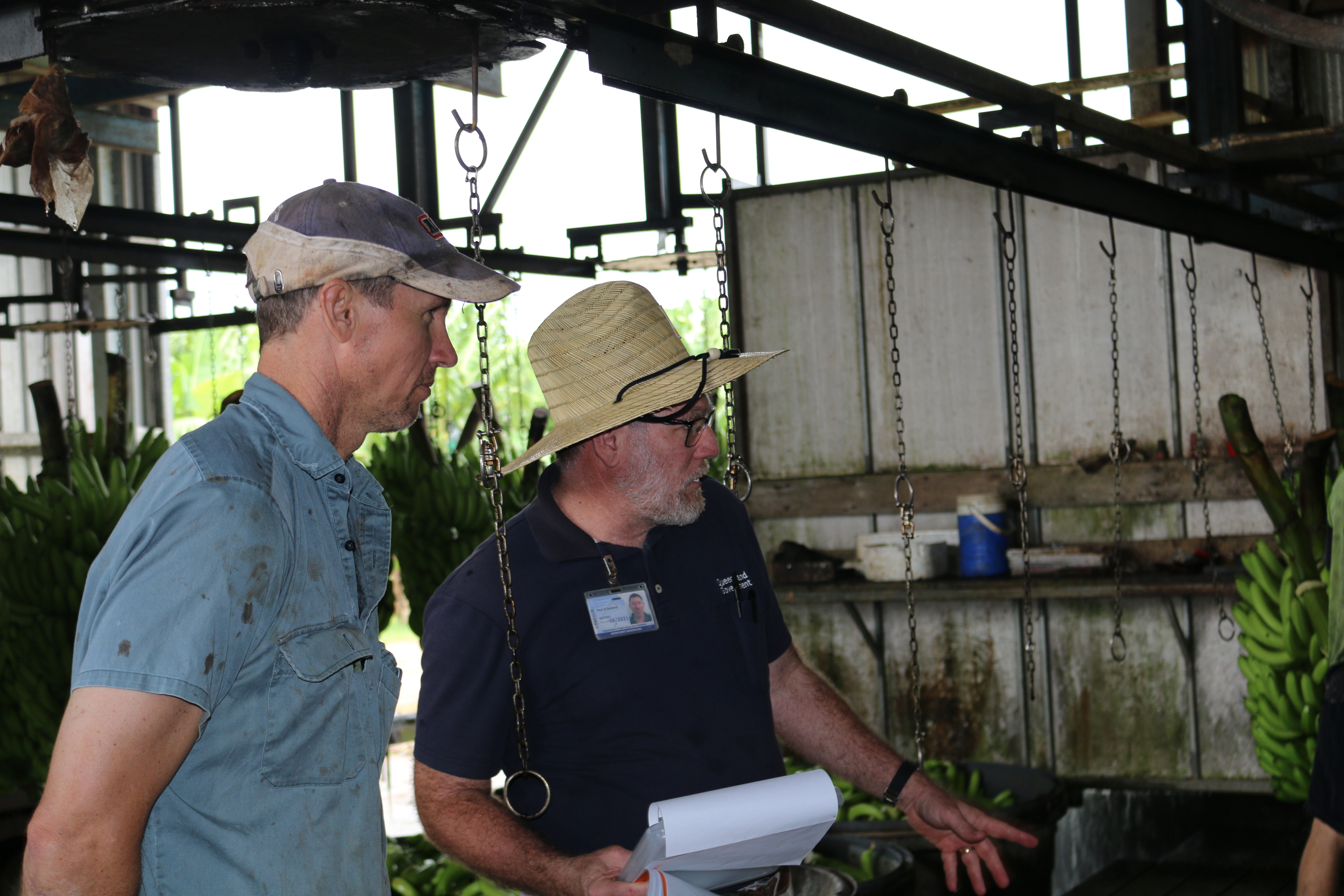 Biosecurity Queensland is offering farm visits to problem-solve any issues when preparing for Panama TR4.