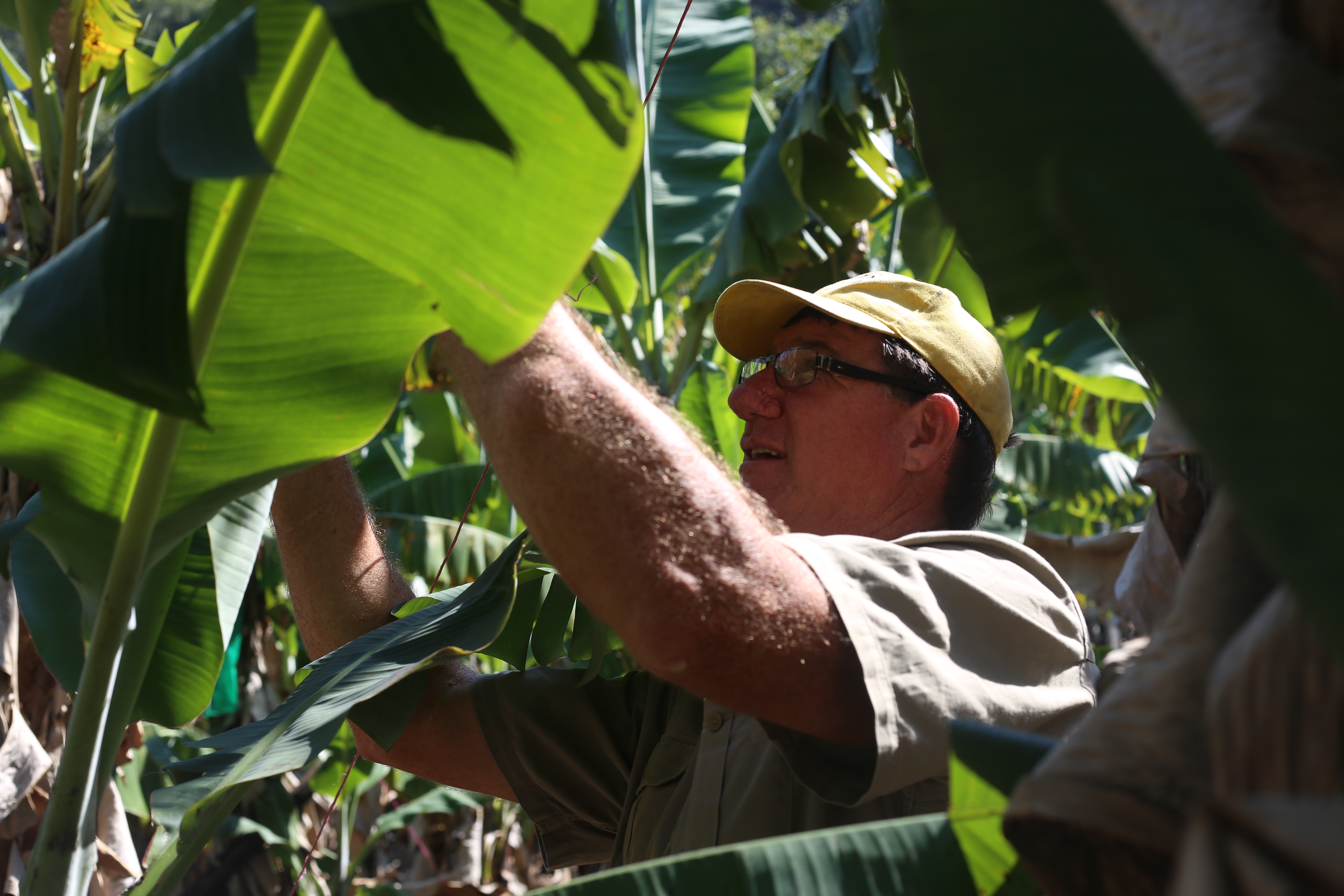 Project leader Barry Sullivan in the field.