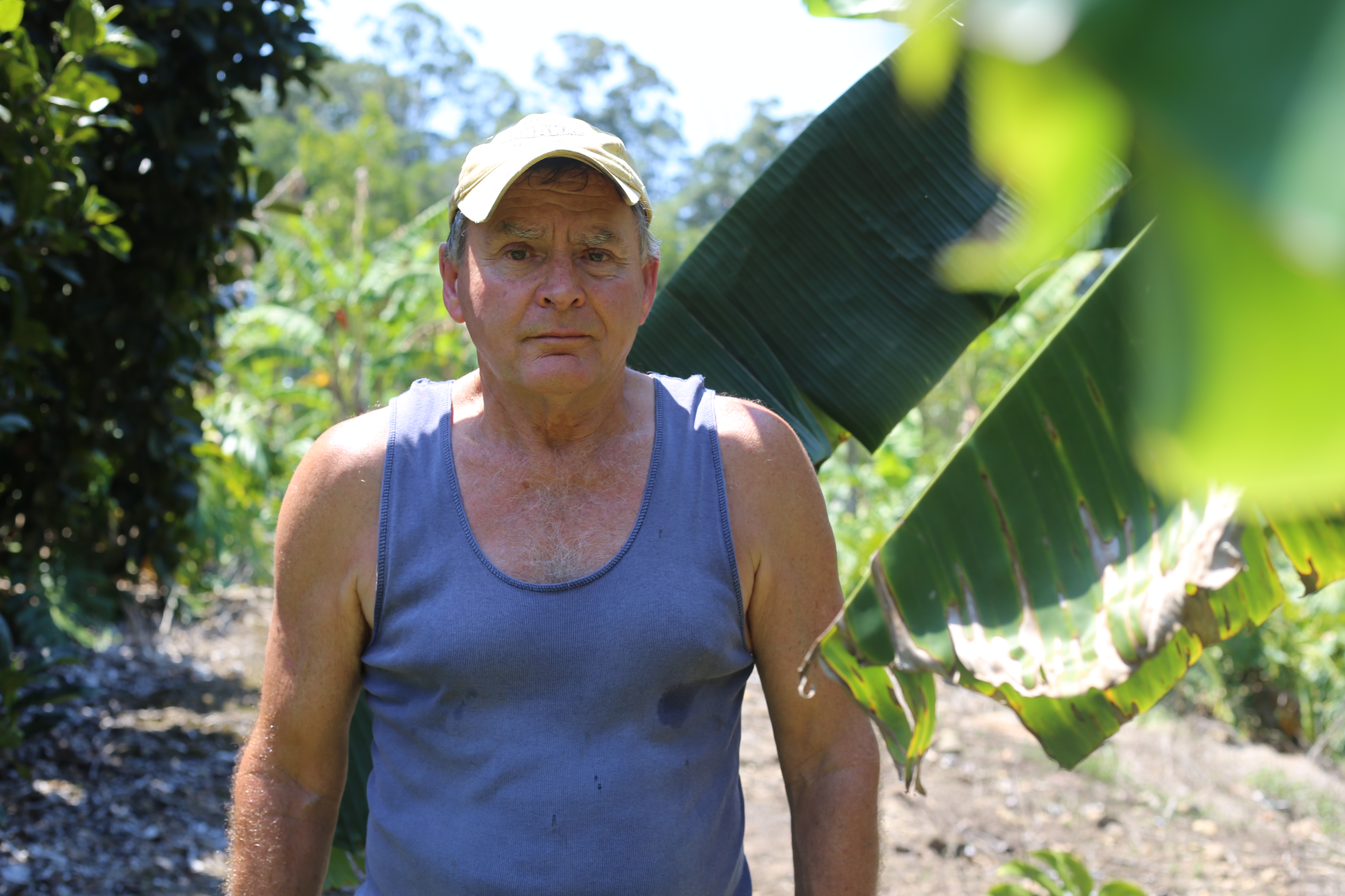Long-time grower Ray Nelson on his property at Kiamba in South East Queensland.