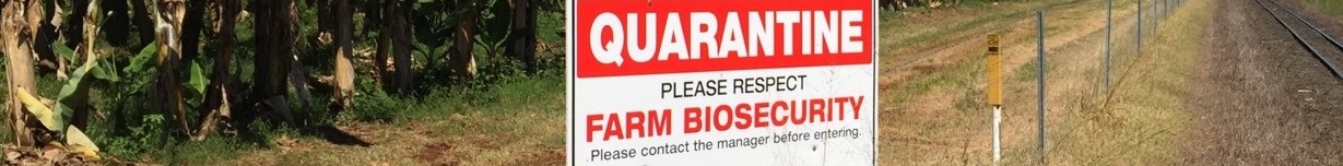 quarantine-for-web