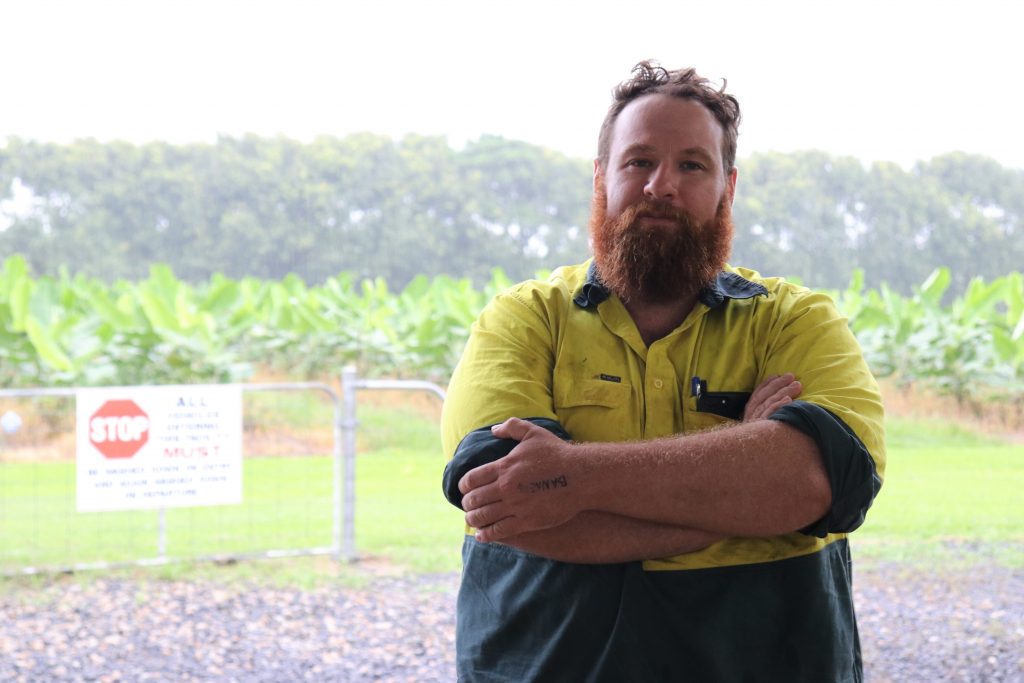 Nutrient dynamics research New banana trials in Wet Tropics
