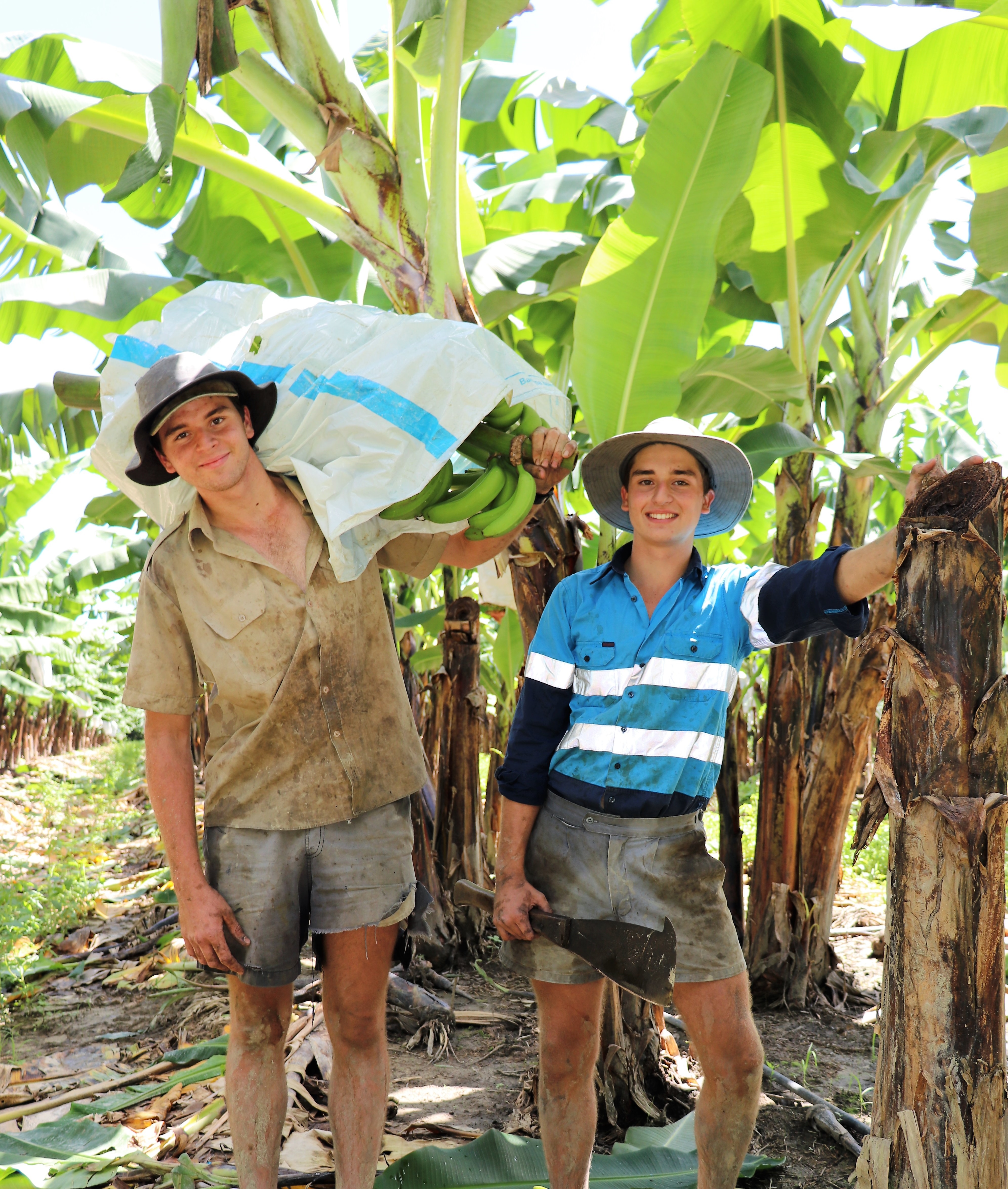 Stuart (left) and Angus on their family’s Tully banana farm.