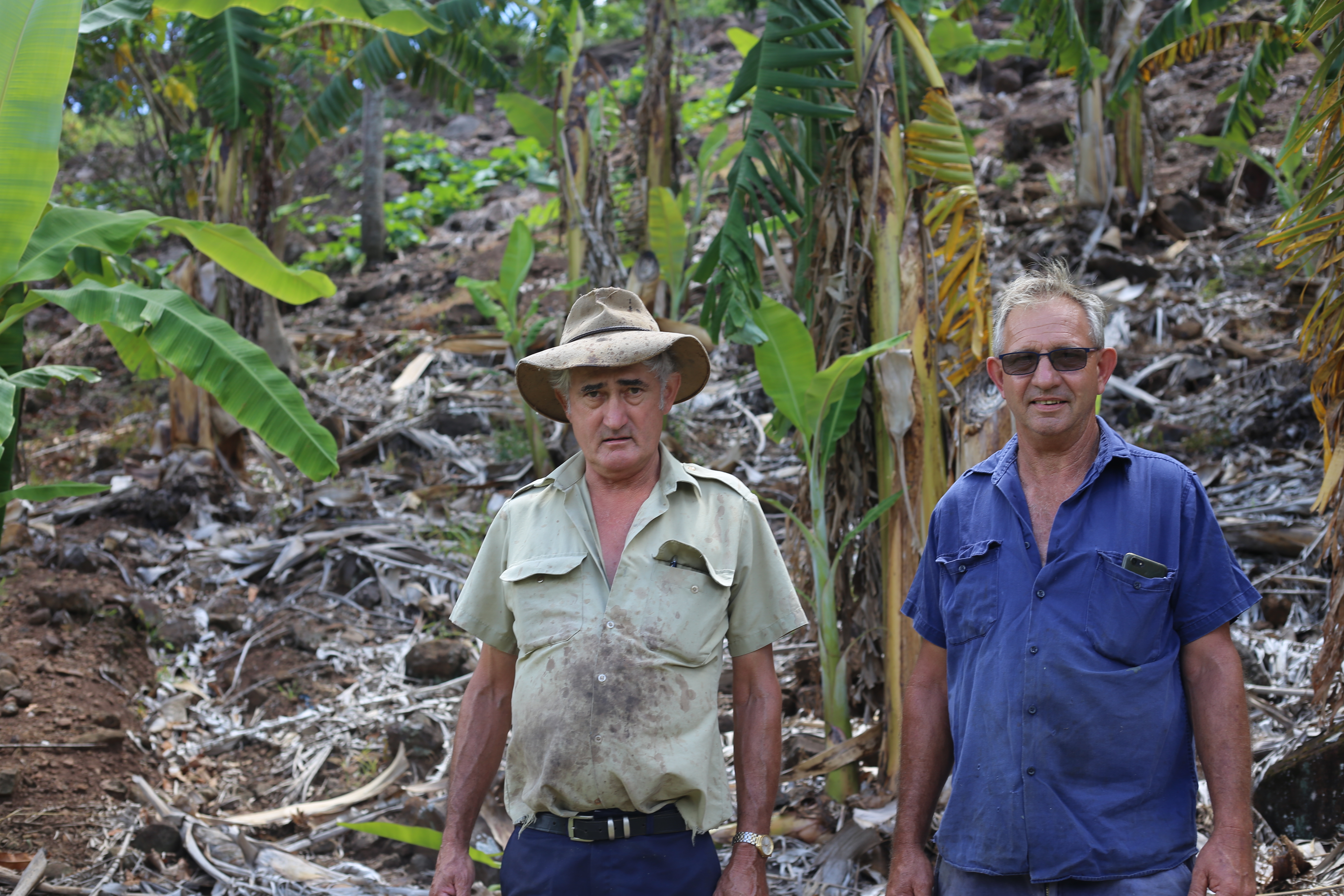 Brothers Brian and Ian Luxton on their
property in South East Queensland.