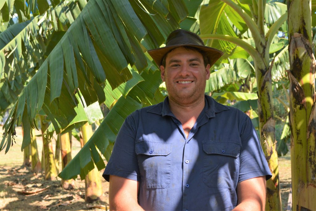 Zac McKeever, who grows bananas in the Tweed area, is now working at the Duranbah trial site.