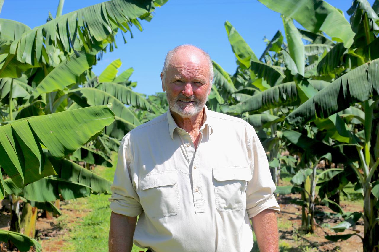 Bunchy Top project manager David Peasley.