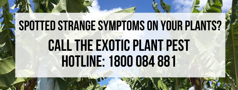 Spotted strange symptoms on your plants_