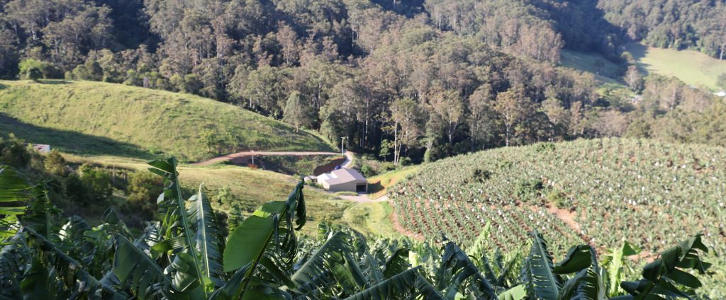 The slopes are ideal for growing in New South Wales – and provide some pretty spectacular views.