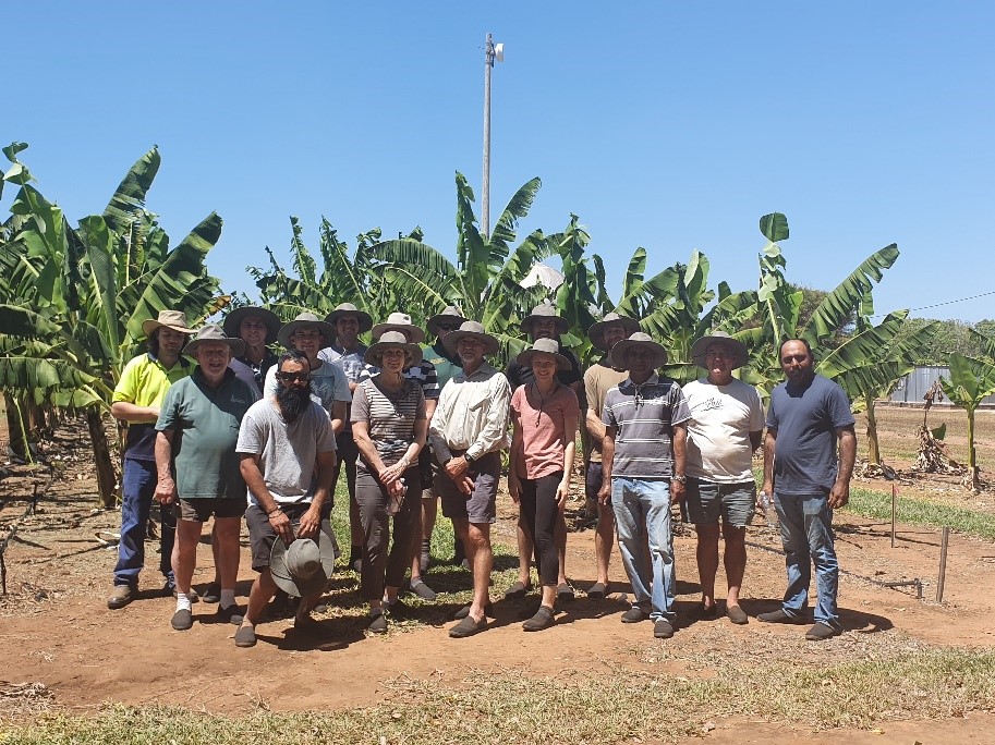 The Next Gen tour group taking in the trials under way at Coastal Plains Research Farm in the Northern
Territory.