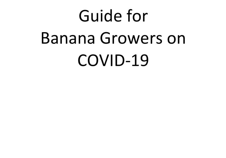 Guide for Banana Growers on COVID-19_FINAL