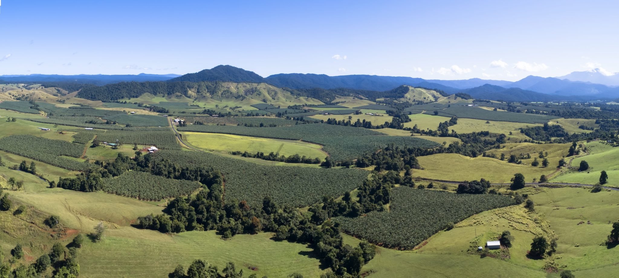 The Australian Banana Growers’ Council Australian Banana Growers