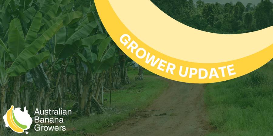 FNQ Growers' e-bulletin - 25 January, 2024