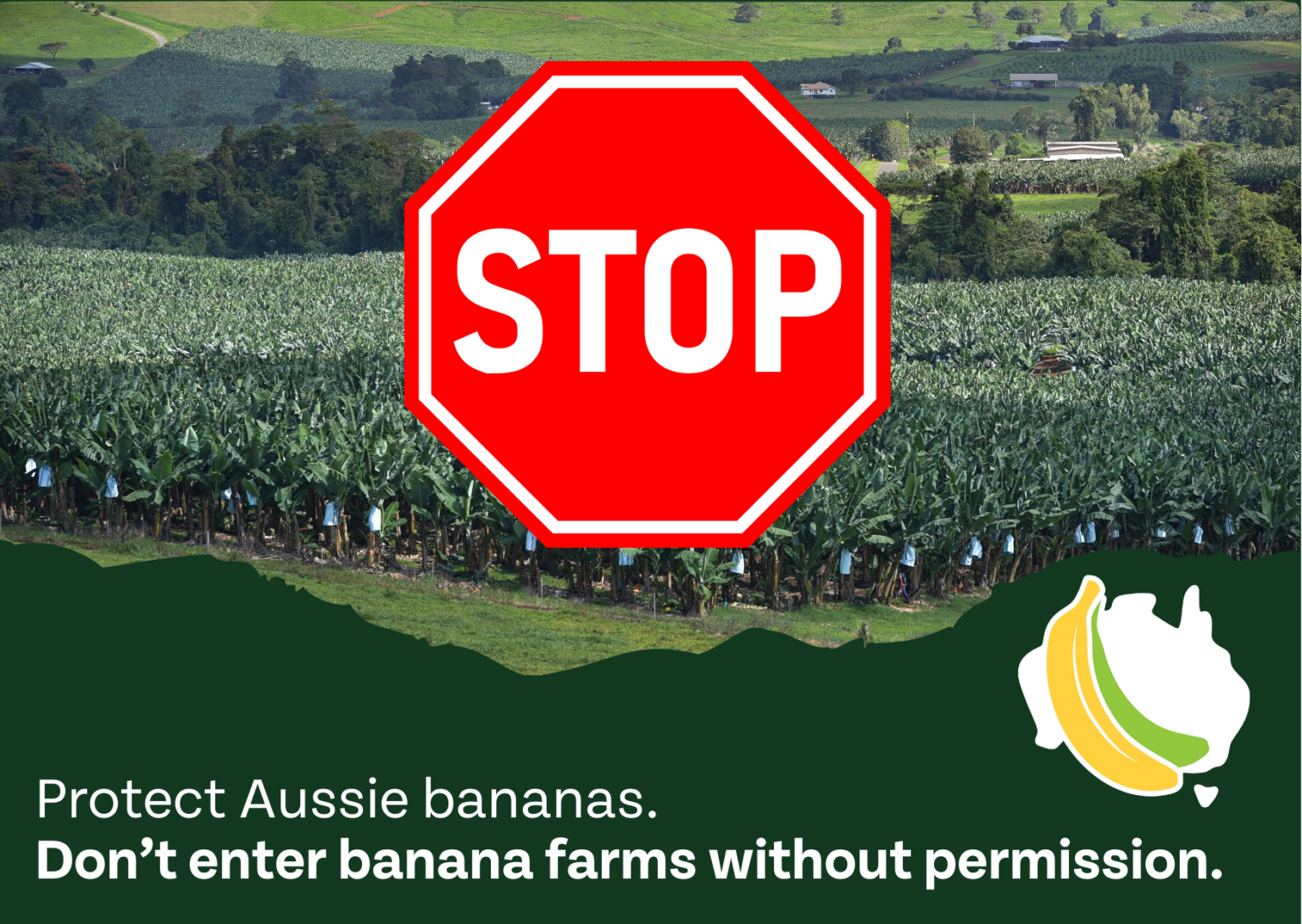 Postcard WHM Australian Banana Growers