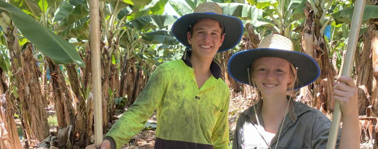 New Core Skills Occupation List: What It Means for Banana Growers