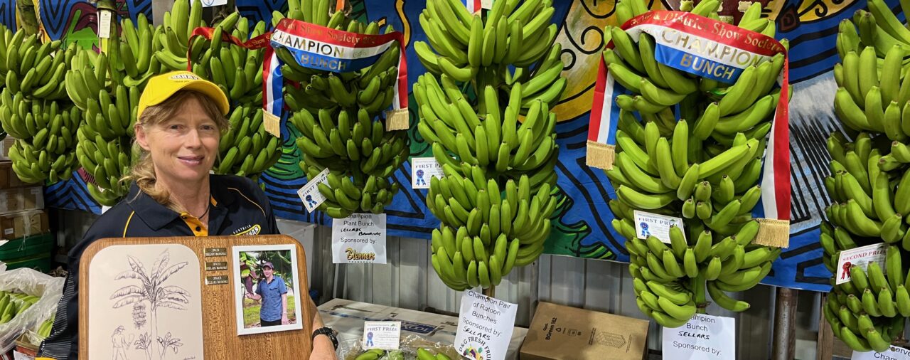 Champion Bananas at the 2024 Tully Show