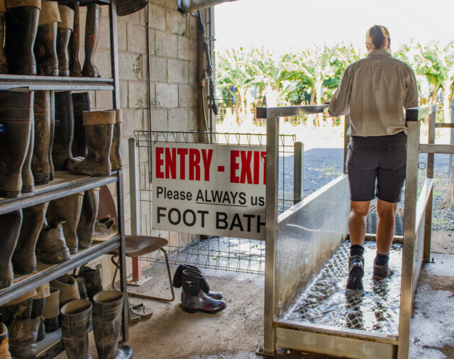 Working with Council for Better Biosecurity