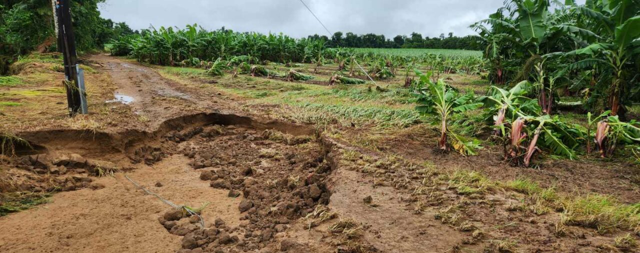 Reliable roads essential for future of FNQ banana industry