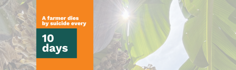 Untitled design (16) | Australian Banana Growers