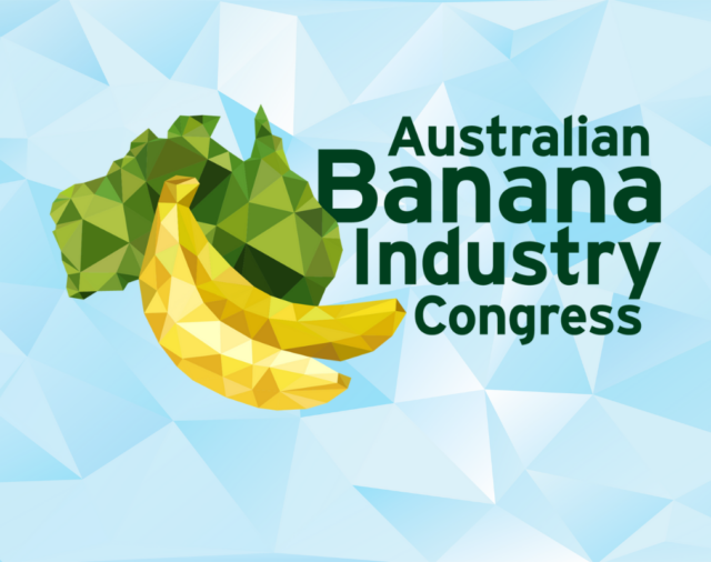 Banana Congress 2025 - videos and photos