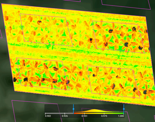 Using drones and data to monitor fertiliser uptake