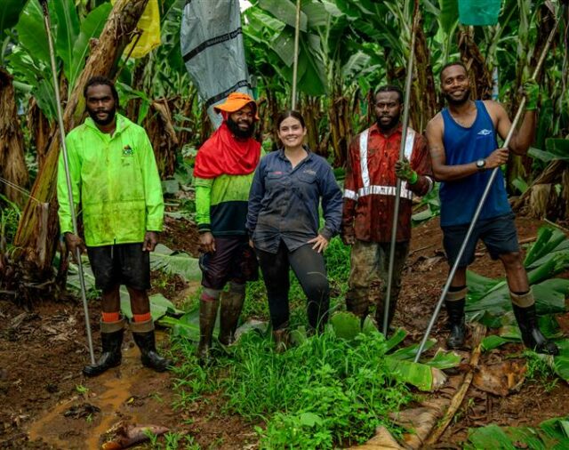 Need Workers for Your Banana Farm? Here's What You Need to Know