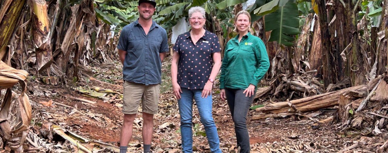 Freshcare visit to FNQ Banana Farmers: "Worthwhile"