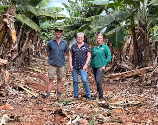 Freshcare visit to FNQ Banana Farmers: "Worthwhile"