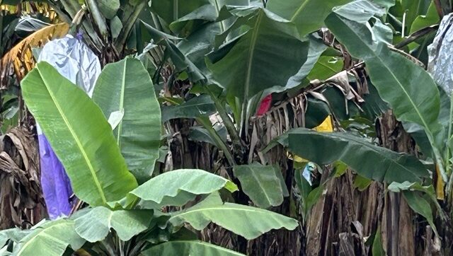 Managing Farm Waste Responsibly