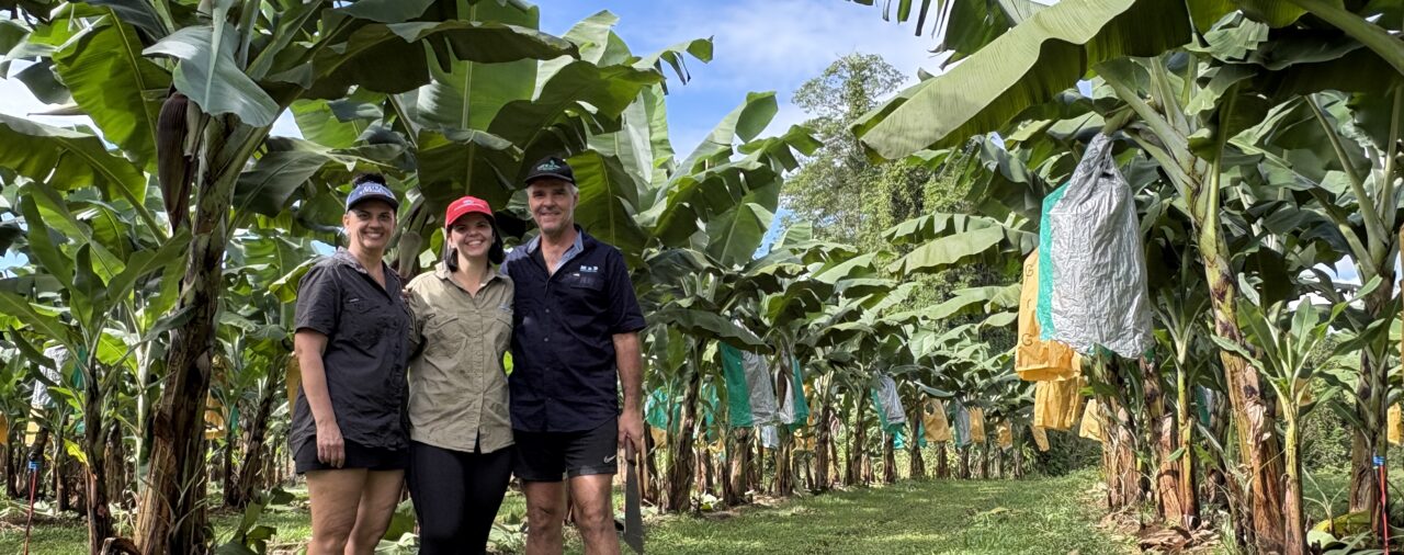 New magazine now online