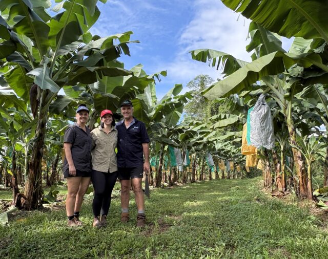 New magazine now online