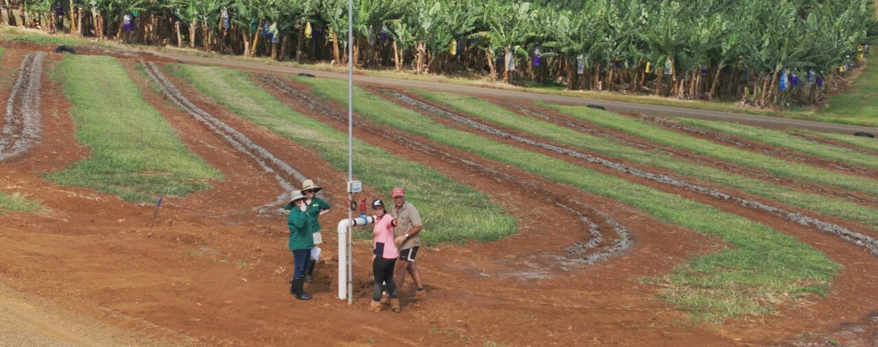 APPLICATIONS OPEN: BANANA BMP'S BEST PRACTICE FUND