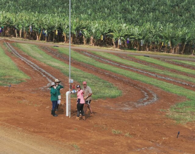 APPLICATIONS OPEN: BANANA BMP'S BEST PRACTICE FUND