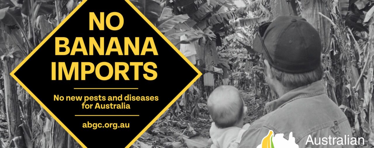 Banana Imports Meeting: A Strong Voice Through ABGC