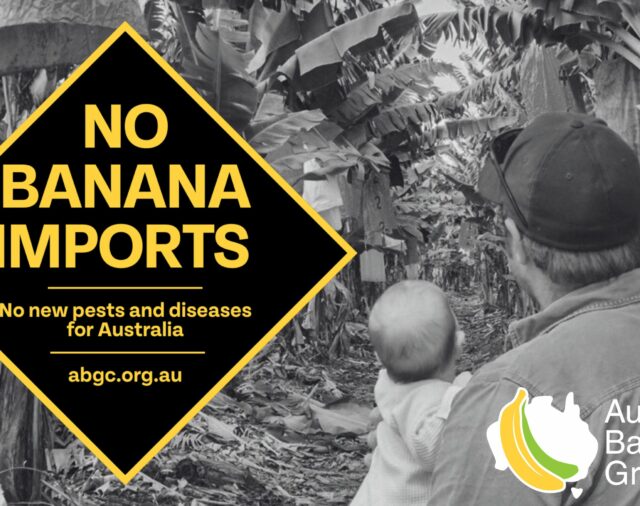 Banana Imports Meeting: A Strong Voice Through ABGC