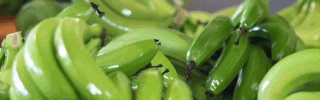 DAFF Review into Potential Banana Imports from the Philippines