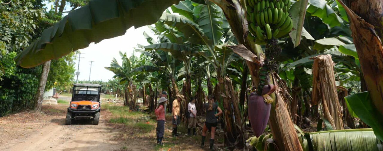 DAFF scientists in FNQ for imports assessment