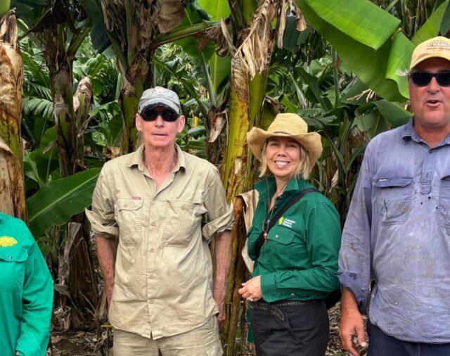 Imports: DAFF's technical team in Carnarvon