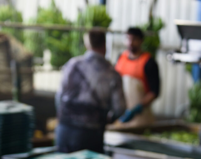 Fresh Research Reveals Disengagement Trends in the PALM Scheme 