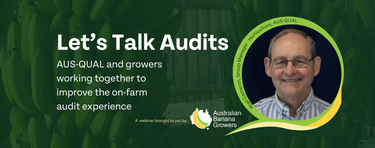 Let’s Talk Audits