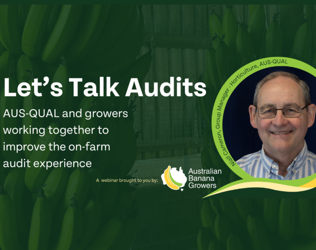 Let’s Talk Audits
