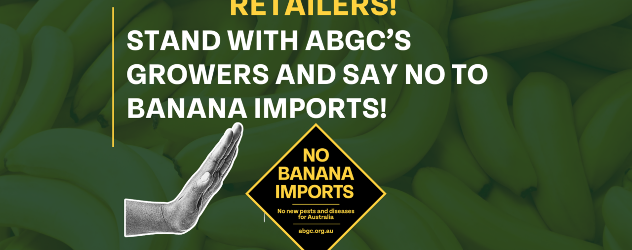 Retailers urged to say ‘no’ to banana imports 