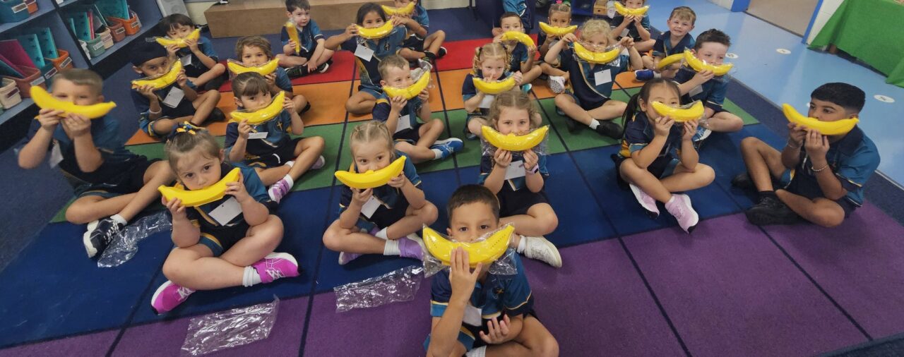 Growers e-bulletin - 13 February 2026