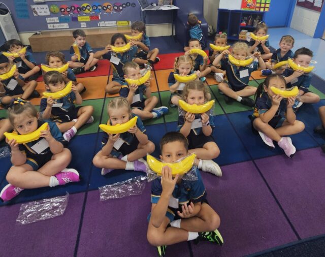 Growers e-bulletin - 13 February 2026