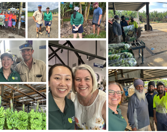 We’re pleased to welcome Emily to the ABGC team and recent highlights from her visit to FNQ 