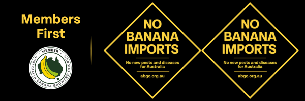 Banana imports: update on DAFF technical visit to the Philippines