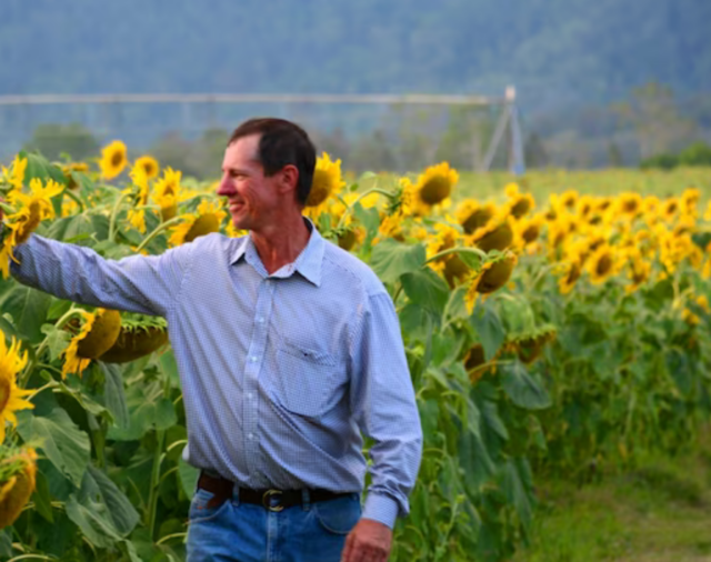 Banana growers invited to Soil Health Workshops in March 2026